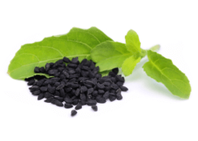 Масло чорного кмину (Nigella sativa)