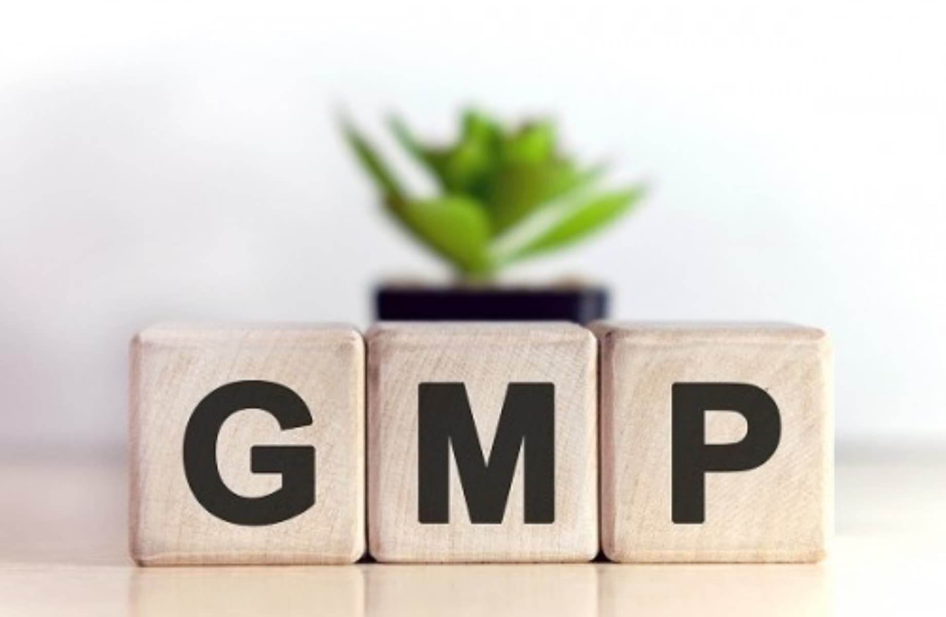 сертификат GMP
